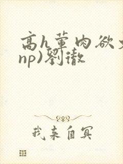 高h荤肉欲文(np)刘彻