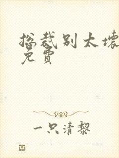 总裁别太坏小说免费