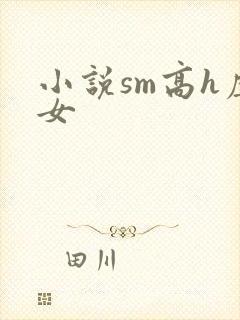 小说sm高h虐女
