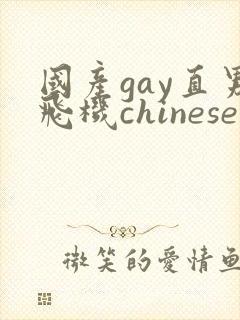 国产gay直男飞机chinese封面