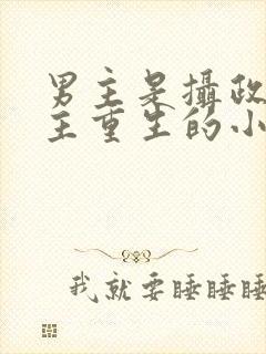 男主是摄政王女主重生的小说封面