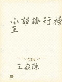 小说排行榜双男主