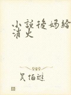 小说后妈给我消消火封面