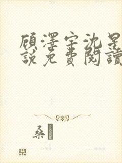 顾泽宇沈星晚小说免费阅读最新章节封面