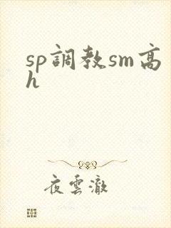 sp调教sm高h