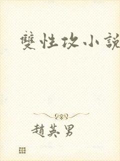 双性攻小说高h封面