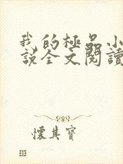 我的极品小姨小说全文阅读封面