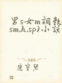 男s女m调教(sm,h,sp)小说