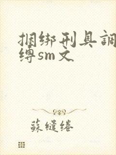 捆绑刑具调教束缚sm文封面