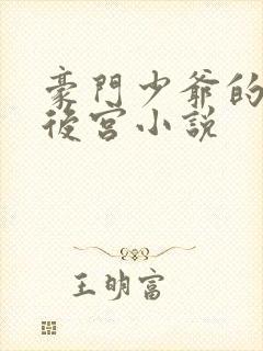 豪门少爷的极品后宫小说