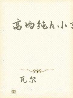 高肉纯h小说