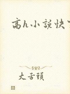高h小说快穿