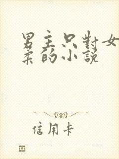 男主只对女主温柔的小说封面