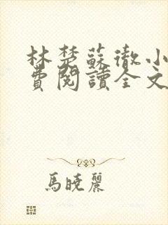 林楚苏彻小说免费阅读全文最新章节封面