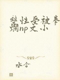 双性受被拳交玩烂np文小