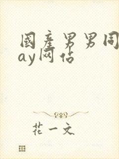 国产男男同性gay网站