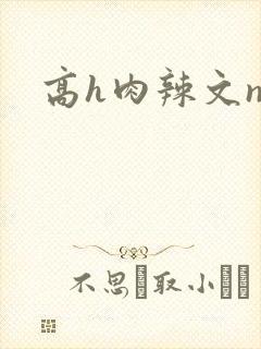 高h肉辣文np