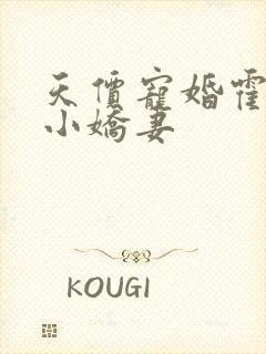 天价宠婚霍总的小娇妻