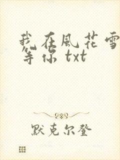 我在风花雪月里等你 txt封面