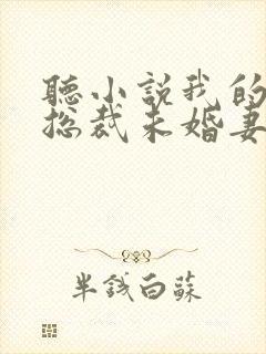 听小说我的绝色总裁未婚妻