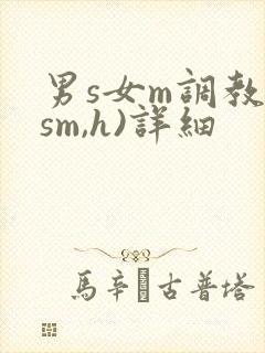 男s女m调教(sm,h)详细