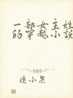 一部女主姓南宫的穿越小说