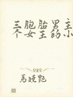 三胞胎男主和一个女主的小说