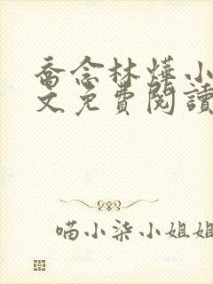 乔念林烨小说全文免费阅读无弹窗