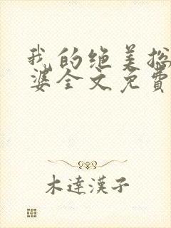 我的绝美总裁老婆全文免费阅读封面