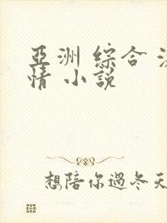 亚洲 综合 激情 小说