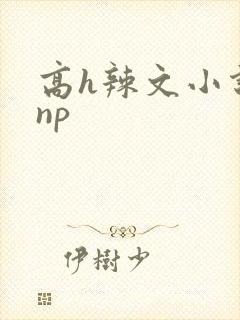 高h辣文小说 np