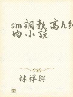 sm调教高h纯肉小说