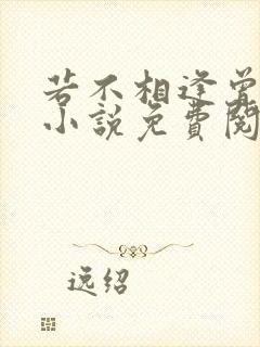 若不相逢曾未嫁小说免费阅读