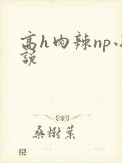 高h肉辣np小说