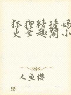 狐狸精后妈太惹火笔趣阁小说封面