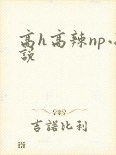 高h高辣np小说
