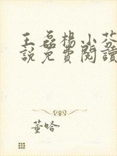 王磊杨小芬的小说免费阅读全文最新章节封面