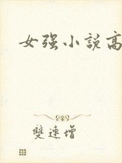 女强小说高h封面