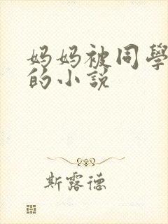 妈妈被同学调教的小说封面