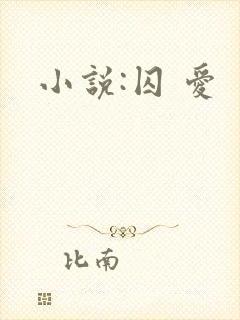 小说:囚 爱