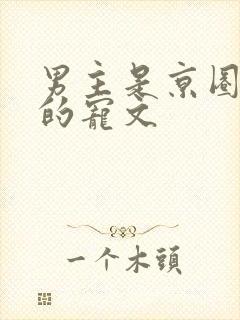 男主是京圈大佬的宠文封面