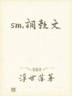 sm,调教文