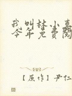 我叫林小喜17今年免费阅读封面