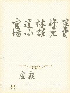 官道林峰宁欣官场小说免费阅读