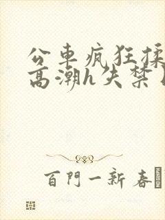 公车疯狂揉肉蒂高潮h失禁日本剧