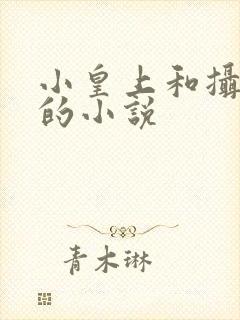 小皇上和摄政王的小说封面