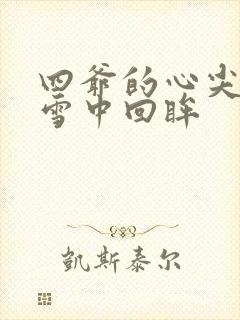 四爷的心尖宠妃雪中回眸