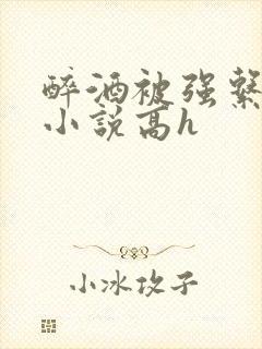 醉酒被强系列 小说高h封面