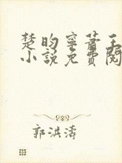 楚昀宁萧王穿越小说免费阅读无弹窗