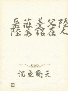 采薇养父陆三平陆勇铭在人间小说封面